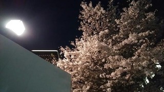 1803291.jpg